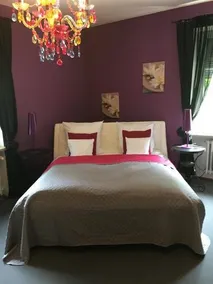 Hotel B&B Bredl In Der Villa Ballestrem - Image 5