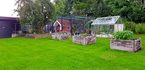 Tjørnely - Image 5