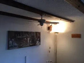 Chez Plaschy - Image 2