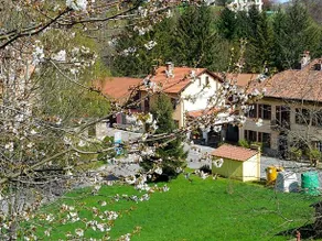 L'Erbavoglio - Image 5
