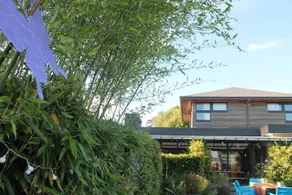 Zen & Zest - Image 2