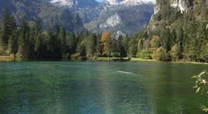 Urlaubsapartments Pfleger - Image 4