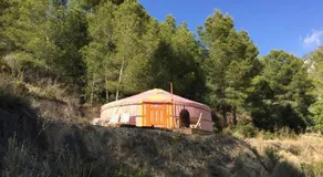 Yurta Naranja - Image 5