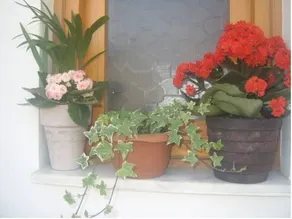 Sehrazat Hotel - Image 2