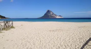 Il Gelsomino - Image 3