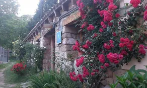 Albergue Molino de Olba - Image 2