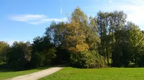 Wagner´s - Image 2