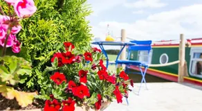Middlemoor Farm Holidays - Image 4