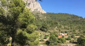 Yurta Naranja - Image 3