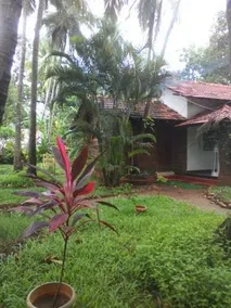 3 Cottages - Image 1