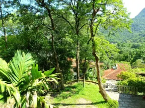 Forest House - Image 3