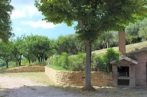 Collesole - Image 5
