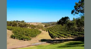 Chapel Hill Winery Guest House - Image 2
