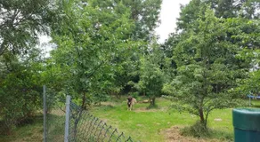 Fewo Bendig - Image 2