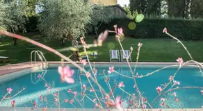 Villa La Querce - Image 5