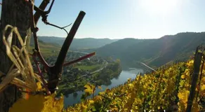 Ferienwohnungen Ferienland Cochem - Image 4