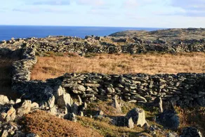 Grates Cove Studios - Image 1