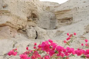 Dead Sea Dawn - Image 4