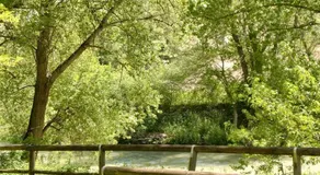 Albergo il Parco - Image 4