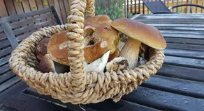 Holzmichel - Image 2