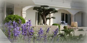 Hotel & Spa Celigo - Image 4