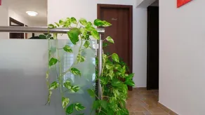 Guesthouse Golob - Image 4