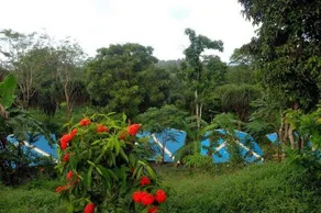 Ixzire Resort - Image 5