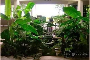 El Hotelito At The Rainforest Experience Farm - Image 5