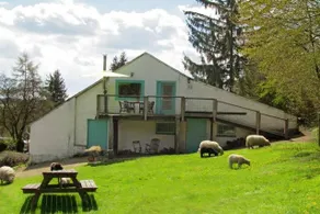 Harry's Place - Image 5