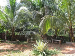Georgedale Guest House - Image 4