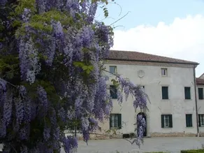 La Corte I Oca - Image 2