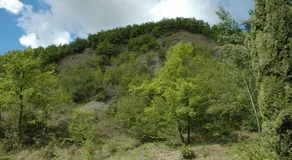 Antico fienile sulla collina - Image 3