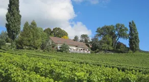 Domaine Beauregard - Image 3