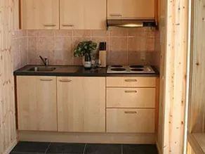 Savognin Cunter Apartment - Image 5