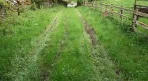 caravan nestled away amongst trees on edge of farm yard - Image 2