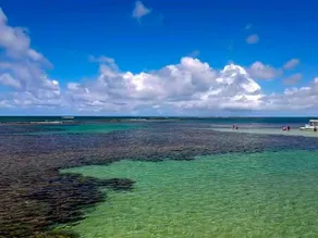Bangalô Luxo Carneiros Beach Resort - Image 2