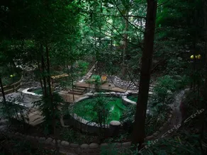 FIRSTHOTSPRINGHOTEL - Image 4