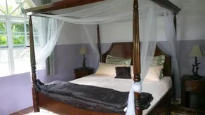 Inn The Bush Eco-Jungle Lodge - Image 5