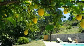 Casa das Lousas, Ponte de Lima - Image 3
