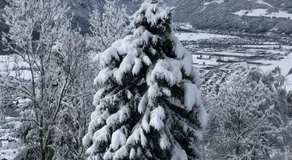 Landhaus Osttirol - Image 5