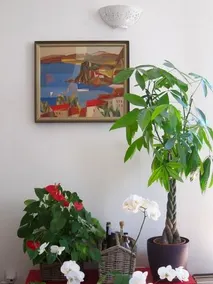 Casa del glicine - Image 3