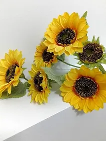 Girasole Grazioli 47 - Image 5
