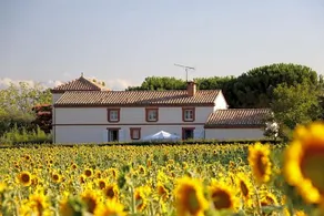 La Cascadeta - Image 2