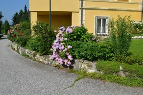 Villa Wurzer - Image 5