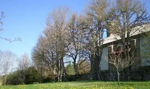 Hostal Casa Sario - Image 2