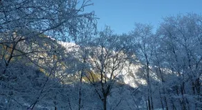 Appartement Strolz - Image 5