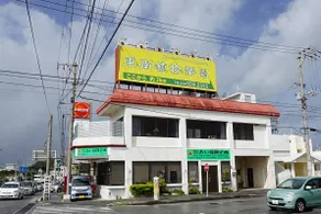 Endless Summer Okinawa North - Image 1