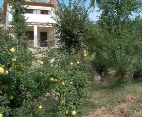Los Esperones - Image 2