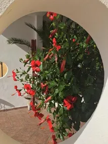 Casa Smeraldo - Image 2
