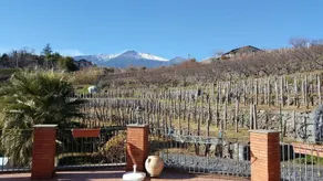 B&B La Ginestra - Image 3